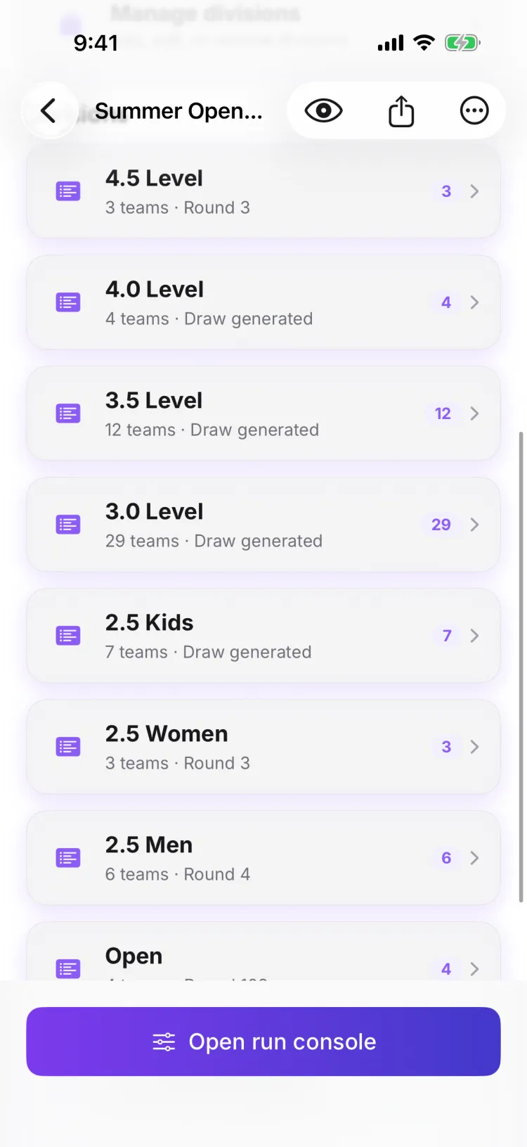 The tournament's divisions — one registration bucket per skill level, each with its own draw and standings